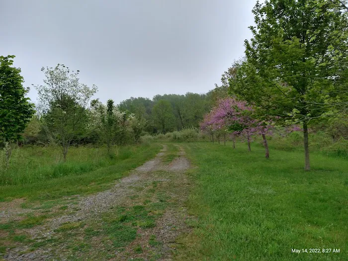 Kittatinny Valley Campsite Picture 7