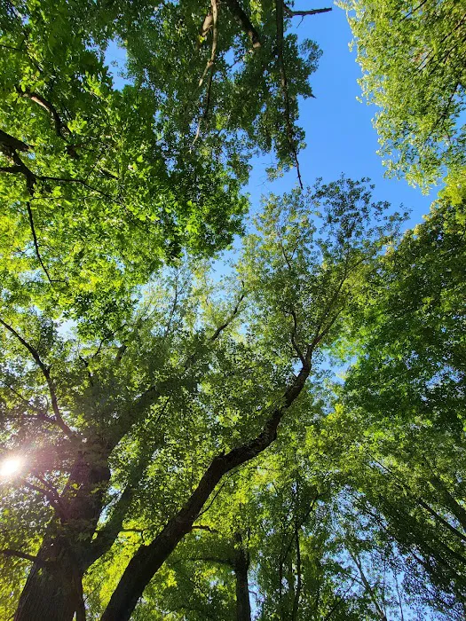 Kittatinny Valley Campsite Picture 5