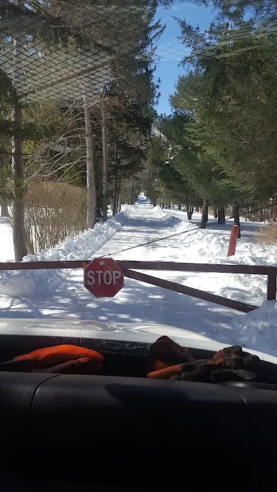 National Camp Association Picture 5