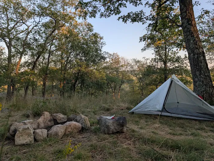 Tom Jones Shelter Picture 6