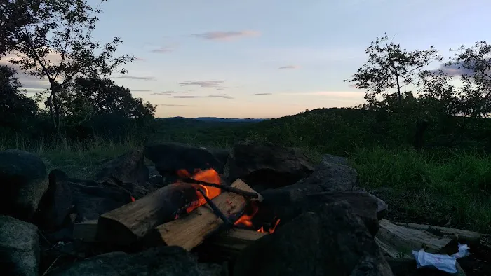 Tom Jones Shelter Picture 4