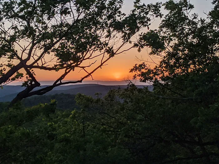 Tom Jones Shelter Picture 7