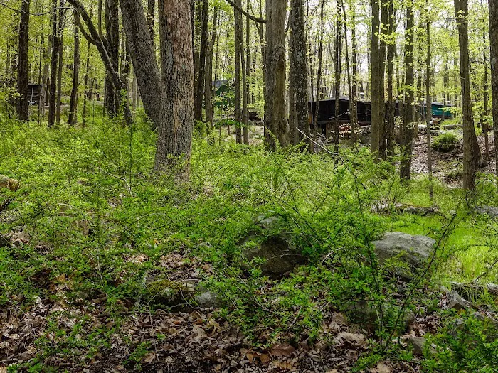 Masonic Camp (K20) Picture 3