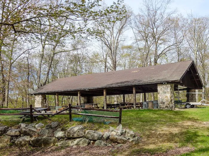 Aesculapius Club (K22) Picture 3