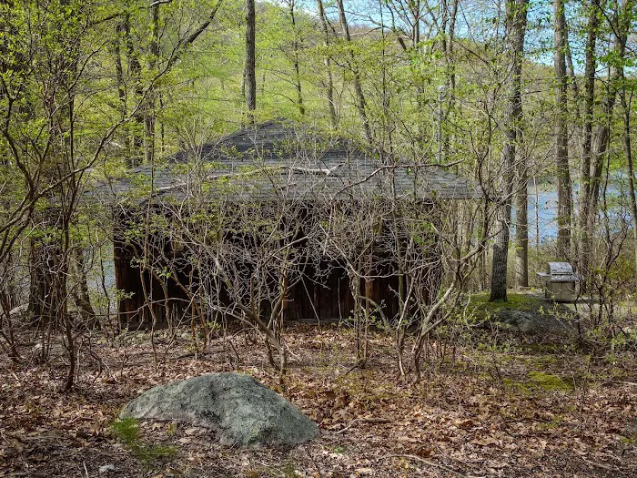 Aesculapius Club (K22) Picture 7