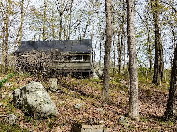 Aesculapius Club (K22) Picture 5