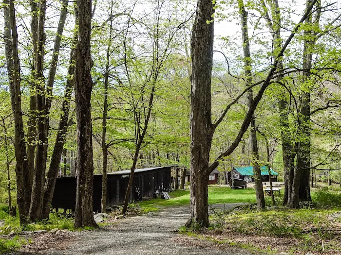 Aesculapius Club (K22) Picture 6