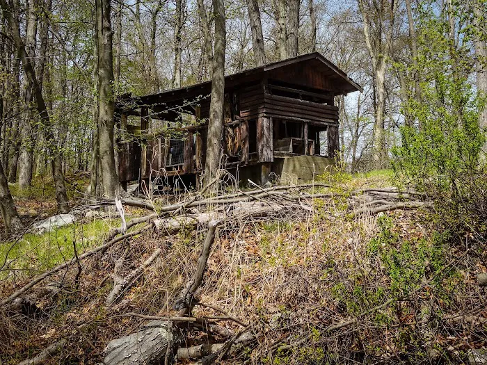 Camp Homeward Bound Picture 2