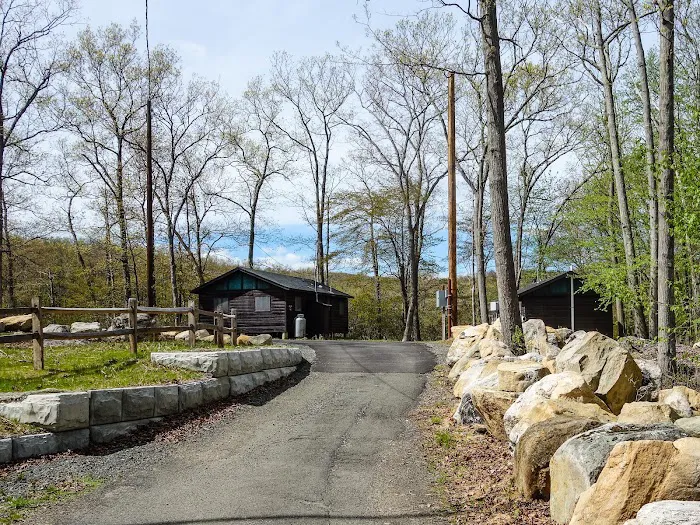 Camp Homeward Bound Picture 3