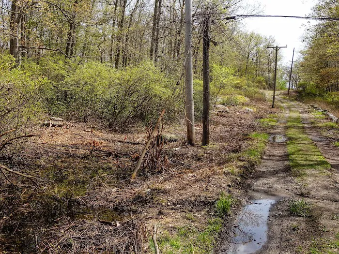 Camp Homeward Bound Picture 4