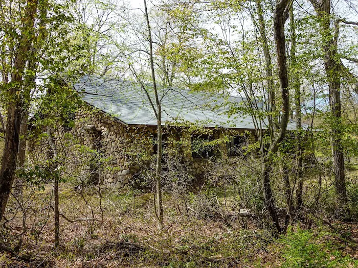 Camp Homeward Bound Picture 10