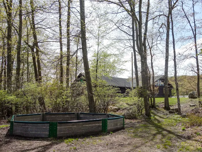 Camp Homeward Bound Picture 8