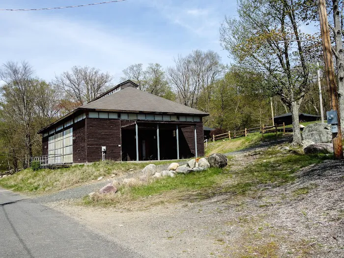 Camp Homeward Bound Picture 6