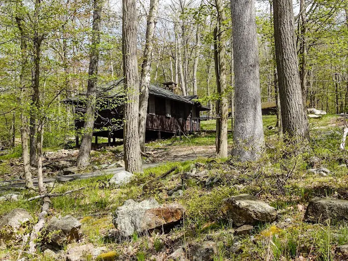 Camp Homeward Bound Picture 9