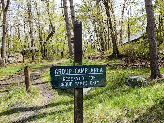 Camp Homeward Bound Picture 5