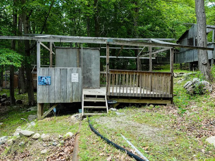 Camp Eureka Picture 2