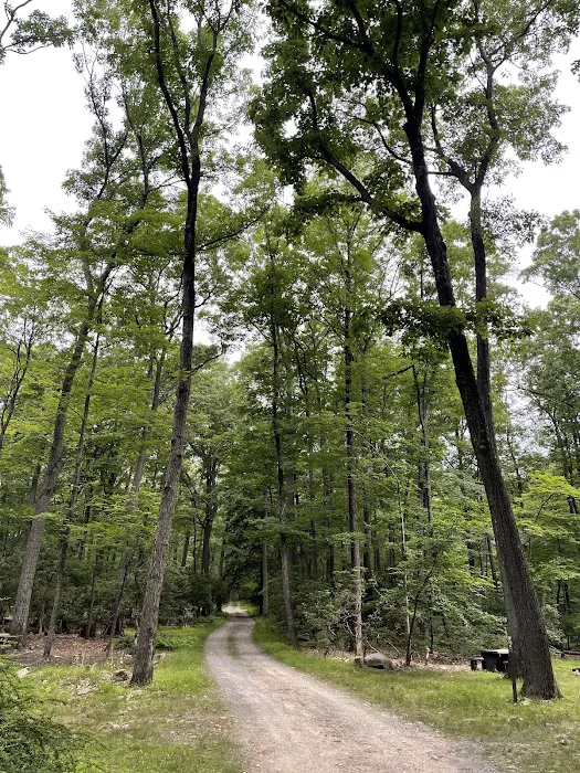 Beaver Pond Campground Picture 10