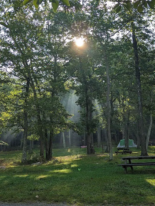 Beaver Pond Campground Picture 4