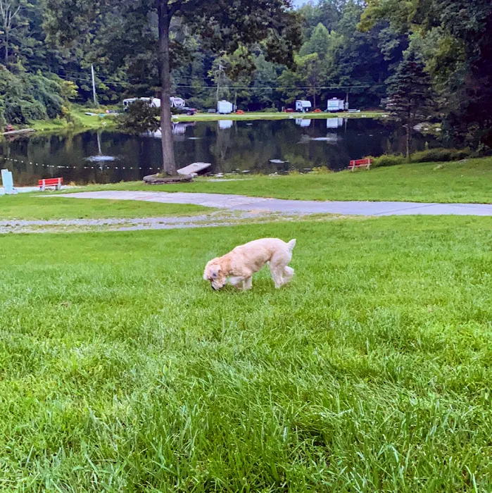 Woodland Trails Picture 10