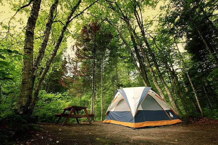 Woodland Trails Picture 5