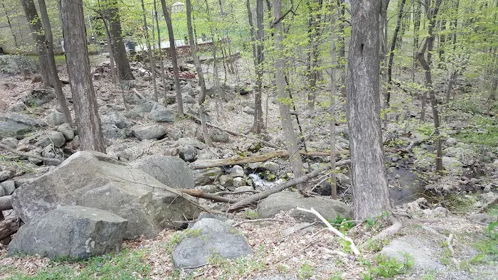 Tall Timbers Property Owners Association Picture 2