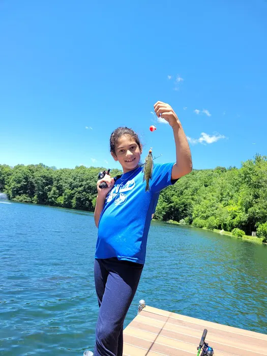 Tall Timbers Property Owners Association Picture 8