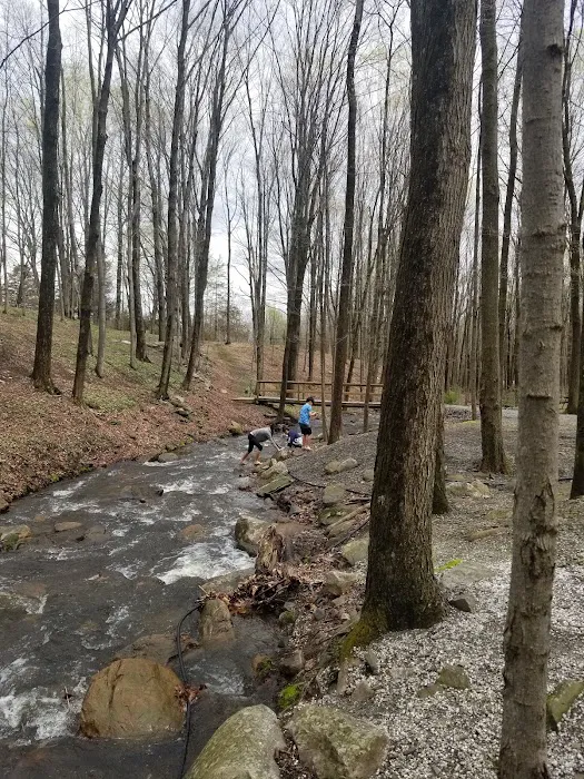 Kymer's Campground Picture 2