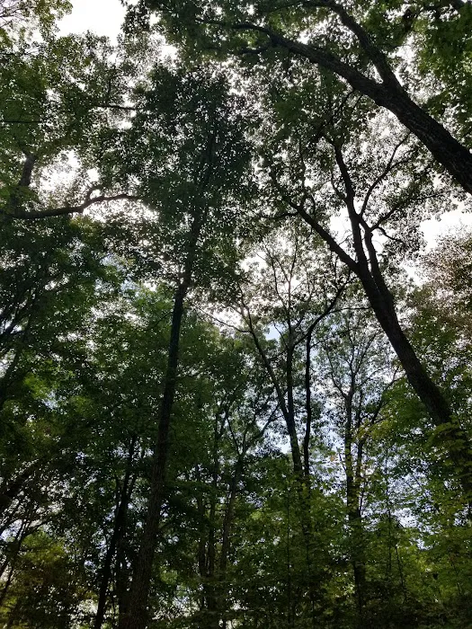 Jenny Jump State Park Camping Picture 1