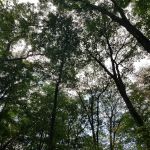 Jenny Jump State Park Camping