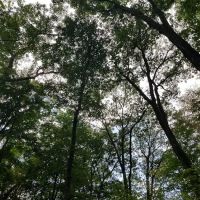 Jenny Jump State Park Camping ico