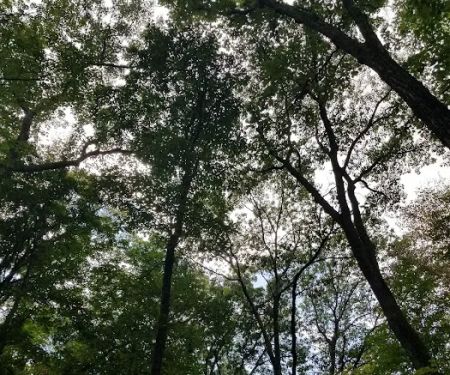 Jenny Jump State Park Camping