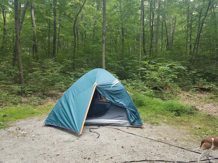 Jenny Jump State Park Camping Picture 2