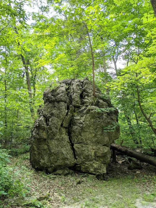 Jenny Jump State Park Camping Picture 8