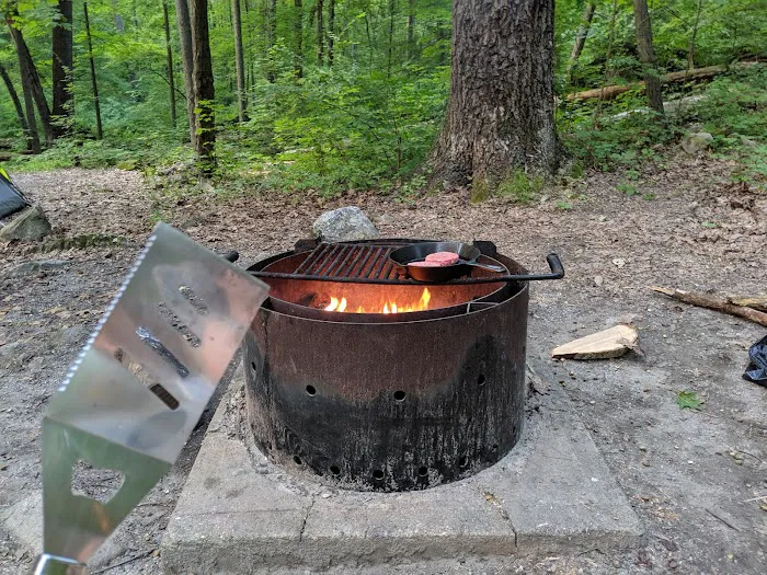 Jenny Jump State Park Camping Picture 7