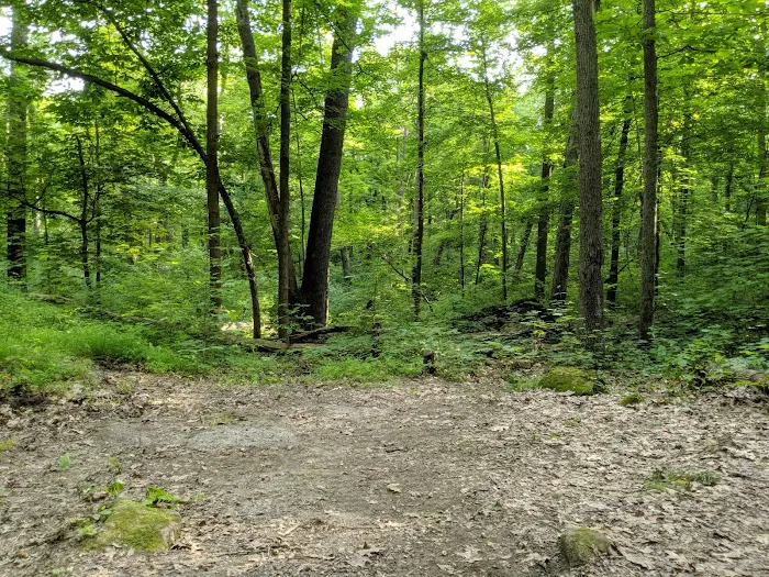 Jenny Jump State Park Camping Picture 9