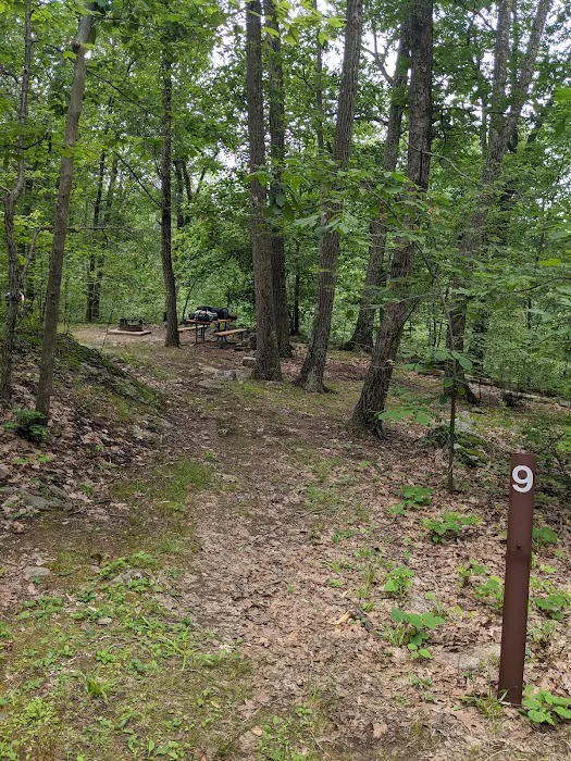 Campground#9 Picture 7