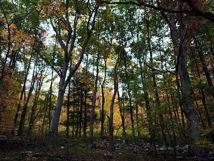 Harmony Ridge Farm & Campground Picture 9