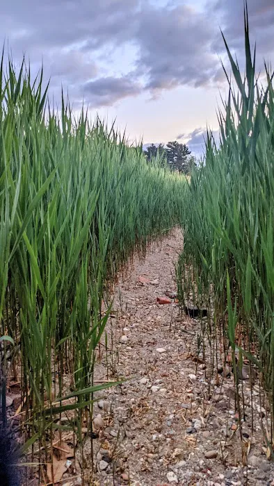 Croton Point Park Tent Camping Area Picture 1