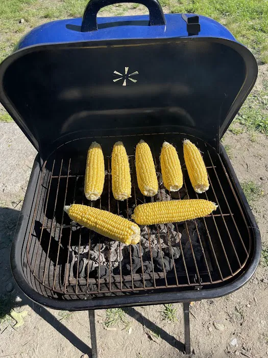 Croton Point Park Tent Camping Area Picture 2