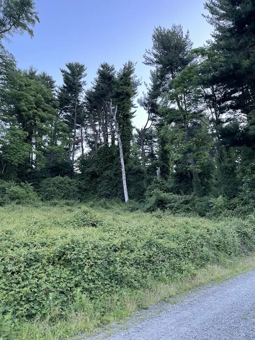 Croton Point Park Tent Camping Area Picture 6