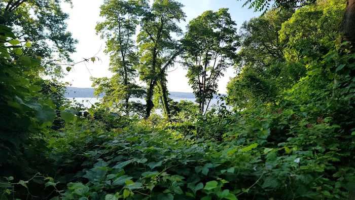 Croton Point Park Tent Camping Area Picture 10