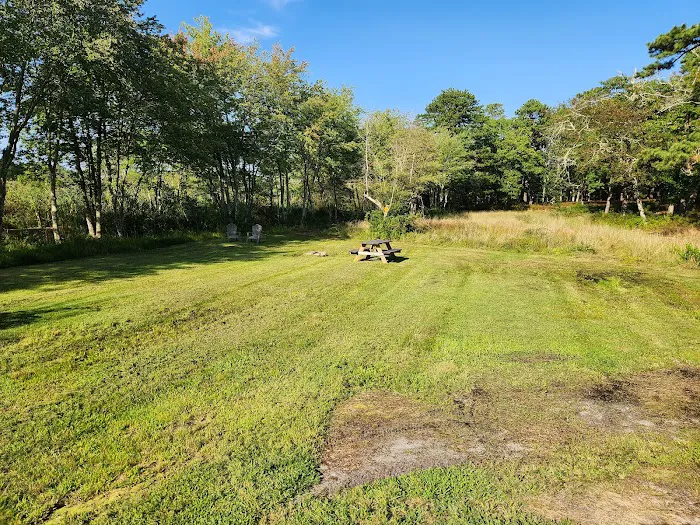 Peconic River Campground Picture 2