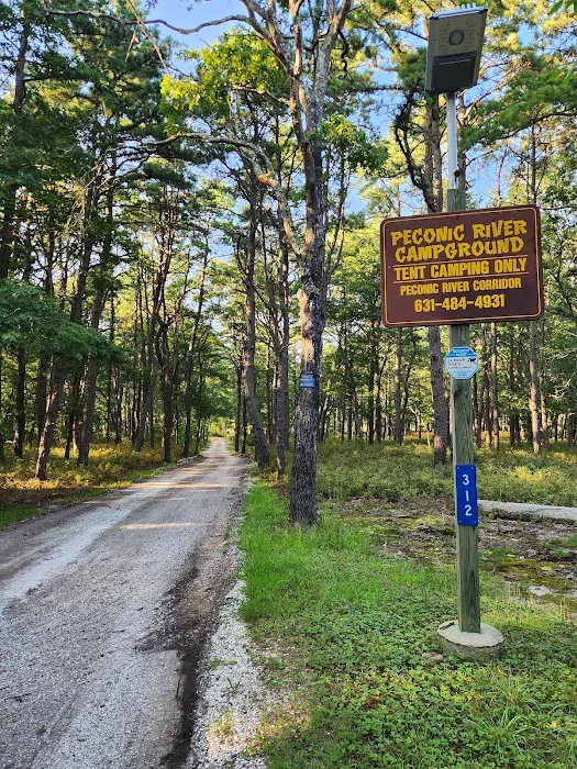 Peconic River Campground Picture 3