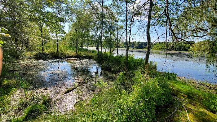 Peconic River Campground Picture 4