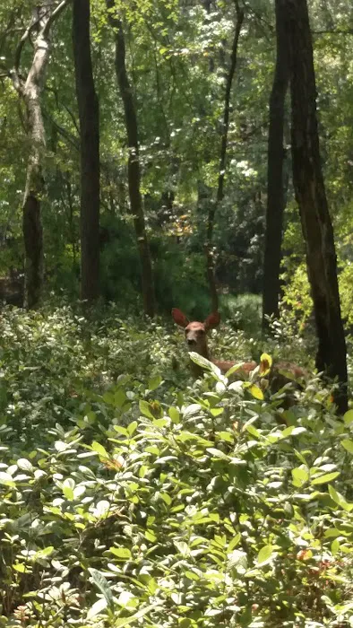 Burlington Co. Camps Acq Picture 6