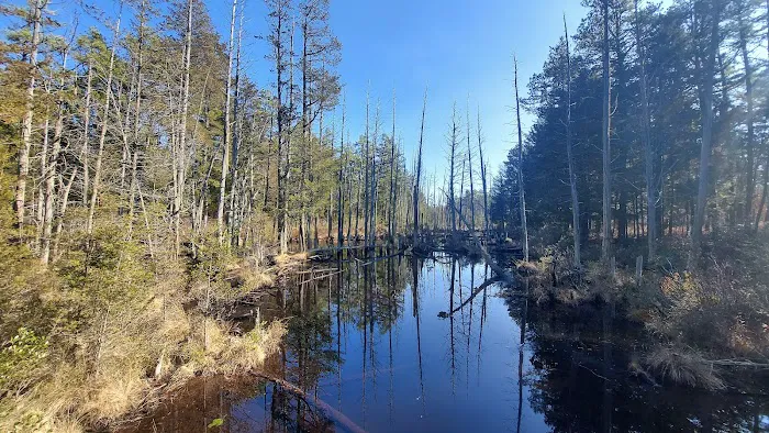 Batona Campground Picture 2