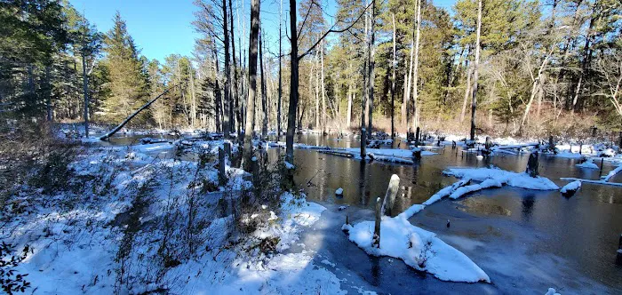 Batona Campground Picture 7