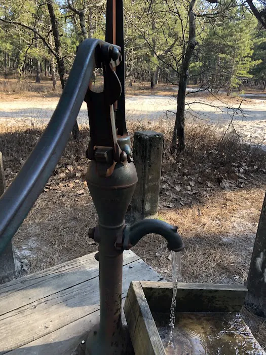 Batona Campground Picture 5