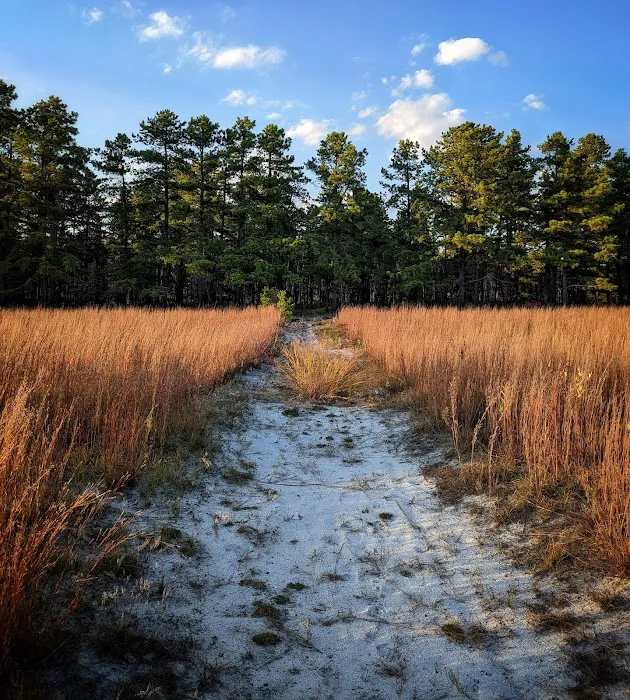 Batona Campground Picture 8