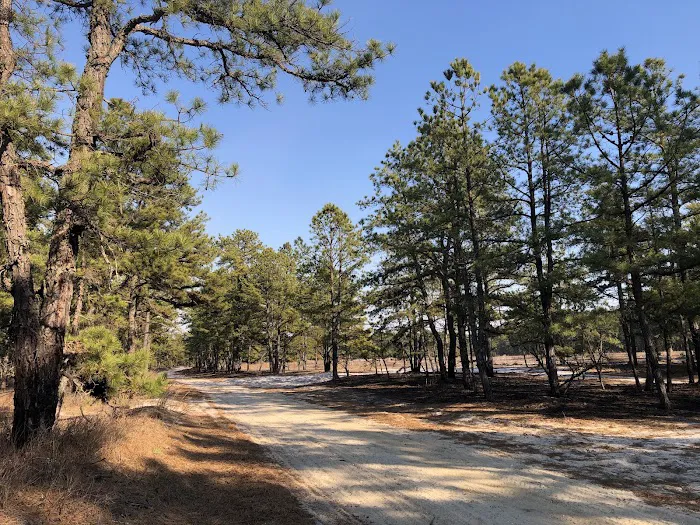 Batona Campground Picture 6